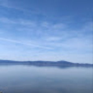 Meet your Posher, Treston